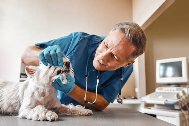 Best Emergency Dental Extractions in Woodlawn, VA