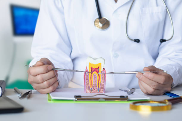 Best Mobile Emergency Dentist in Woodlawn, VA
